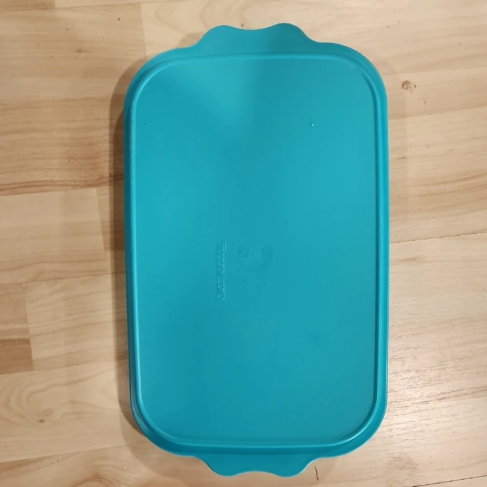 Tupperware Green and Blue Baking Tray